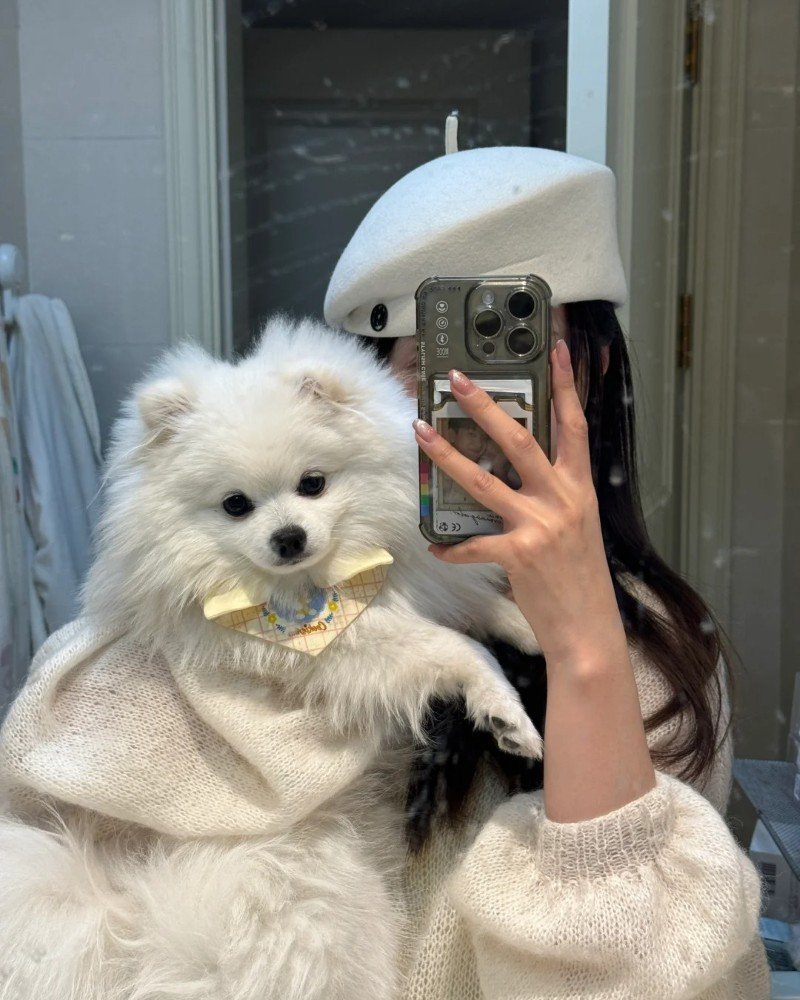 ảnh con chó cute 11