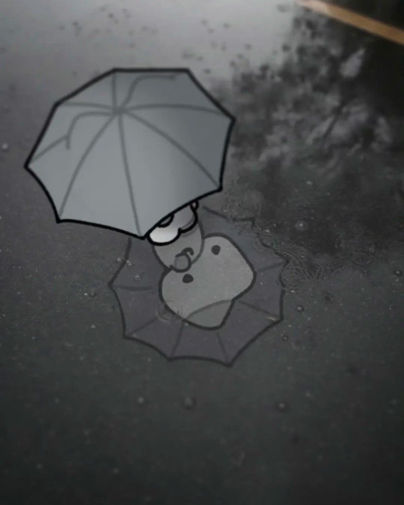 ảnh mèo buồn 31