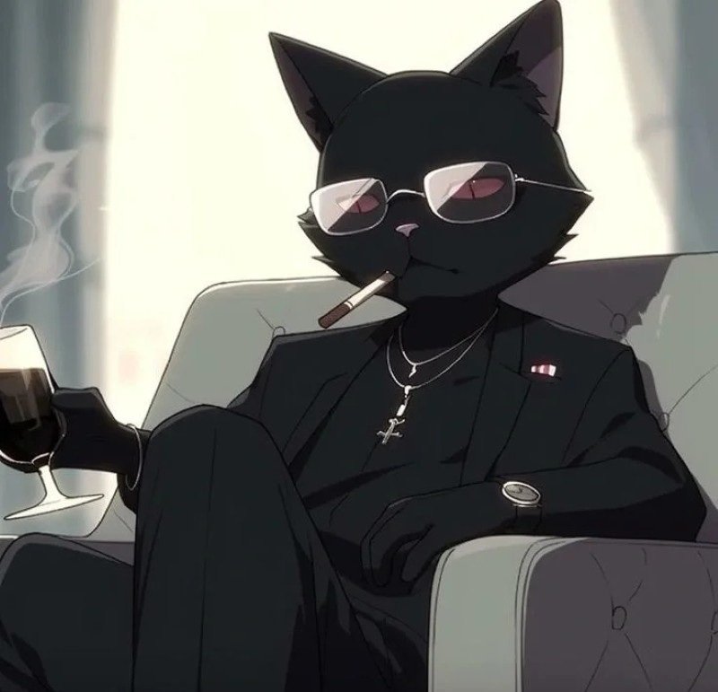 avatar mèo ngầu 20
