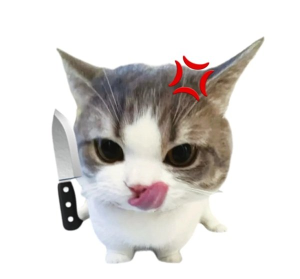 avatar mèo vô tri 15