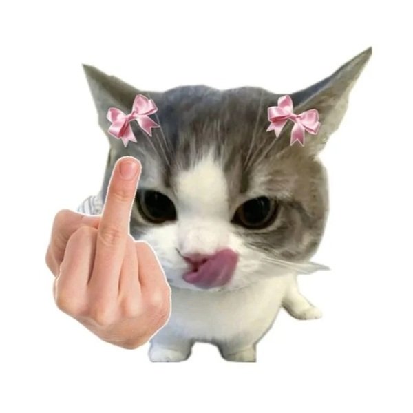 avatar mèo vô tri 27