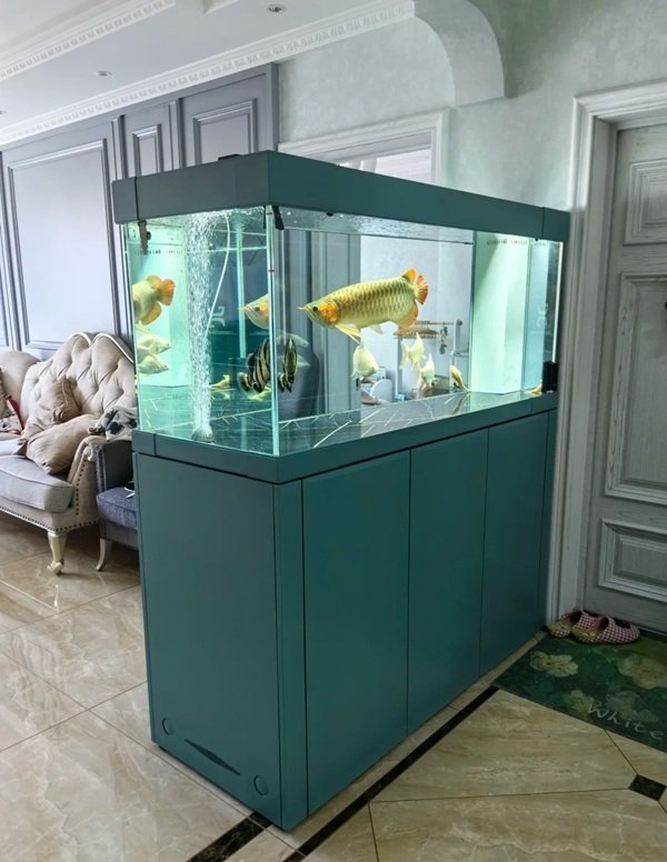 cá rồng kim long 27