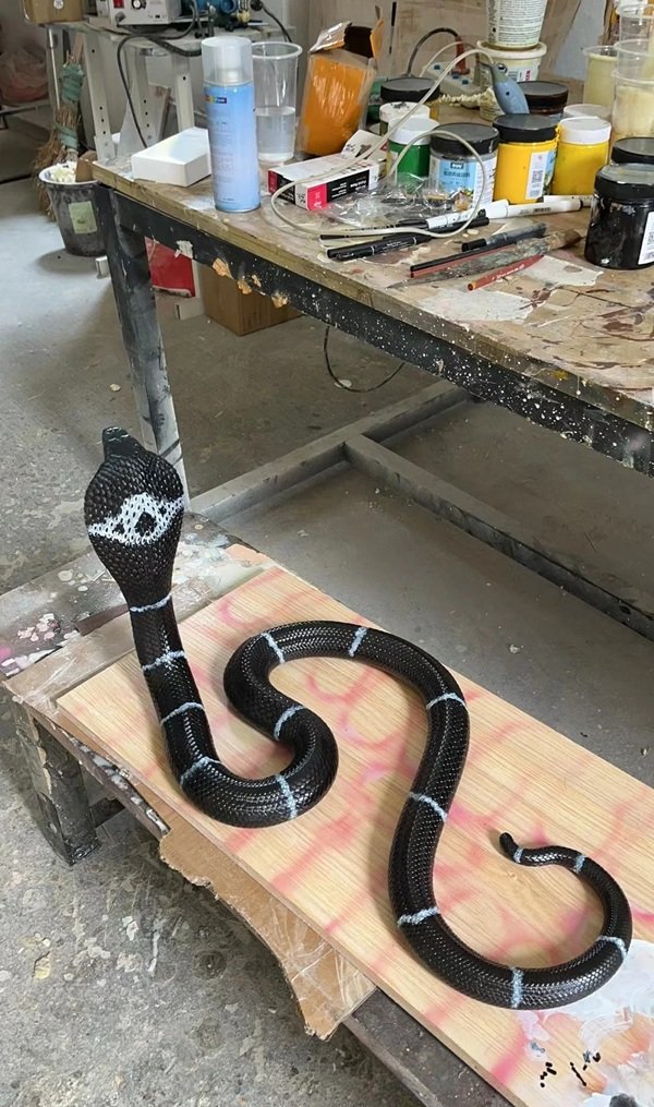 hình ảnh rắn hổ mang chúa 3d 17