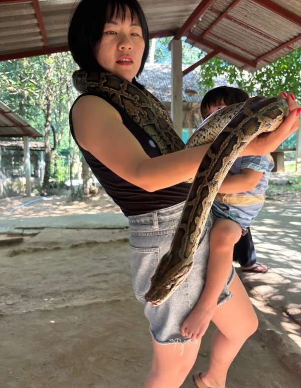 hình ảnh rắn hổ mang chúa 3d 2