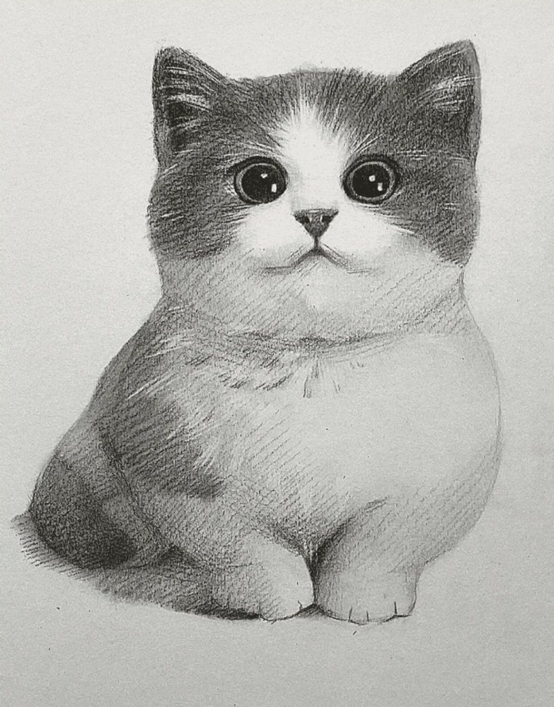 hình vẽ con mèo 29