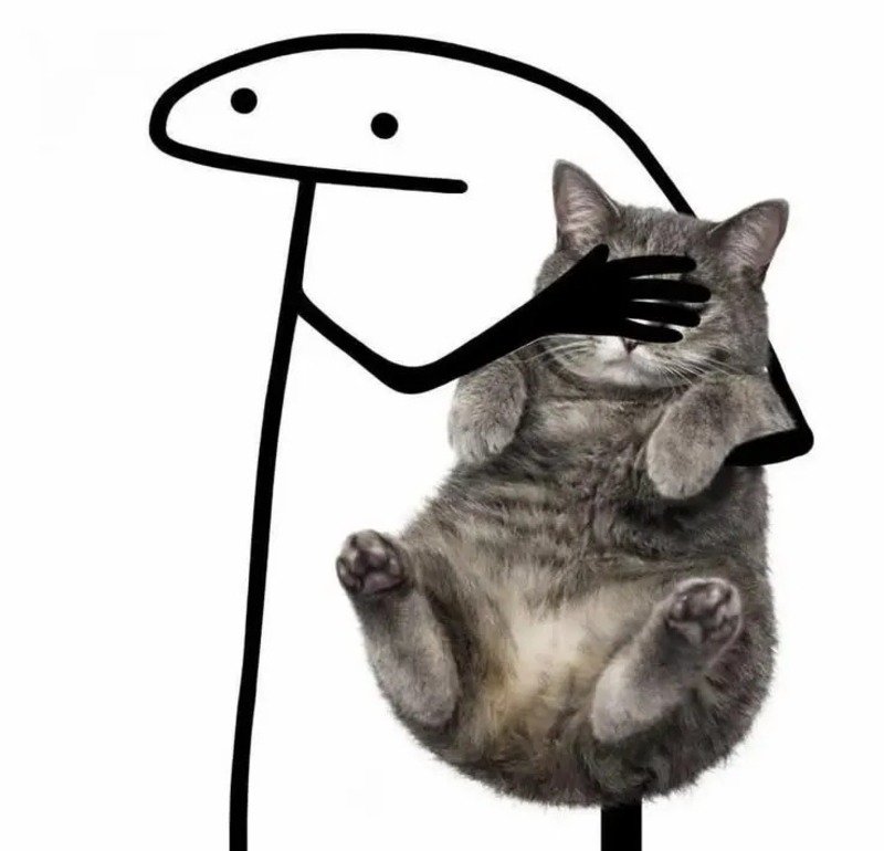 Hình nền meme mèo bựa độc đáo