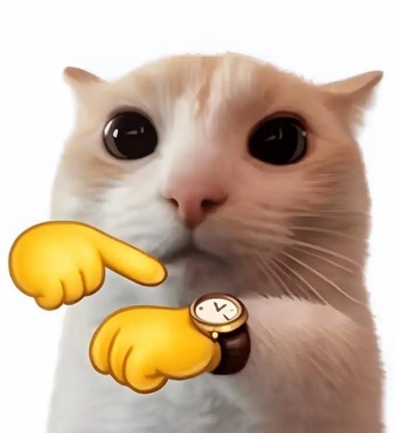 Meme mèo hài với khuôn mặt tươi vui