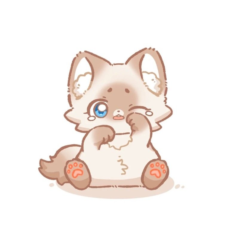 mèo cute chibi anime 16