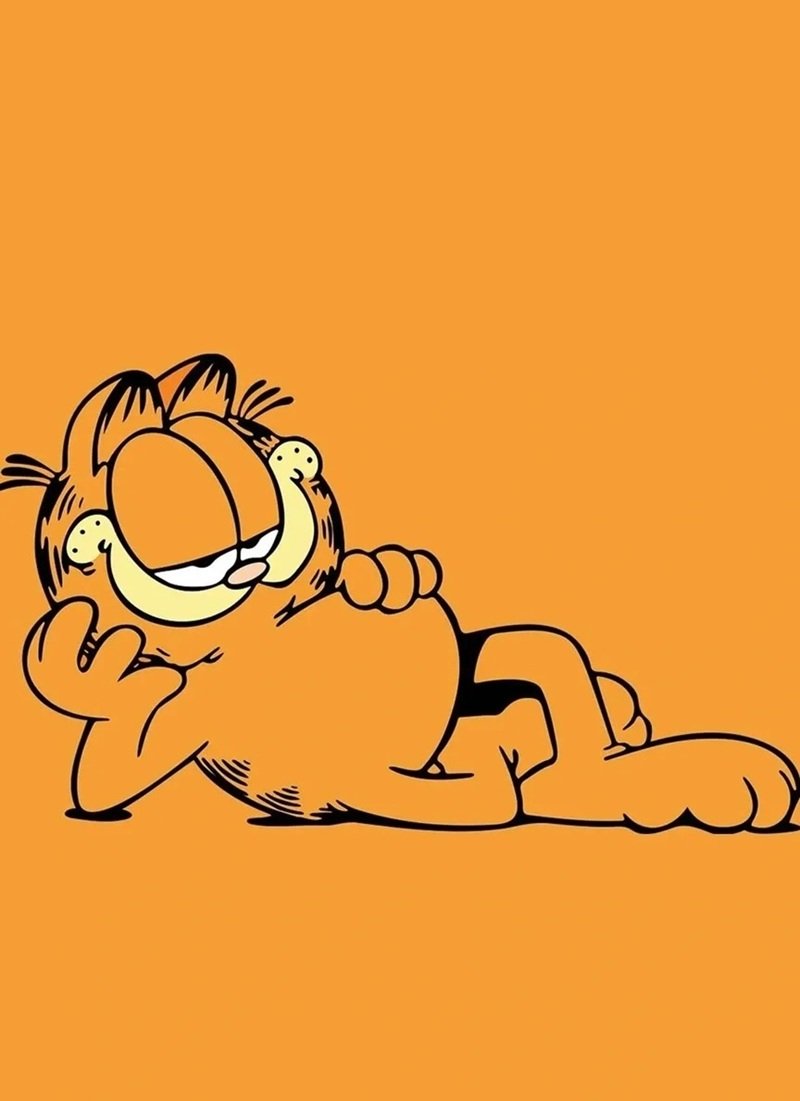 mèo garfield 11