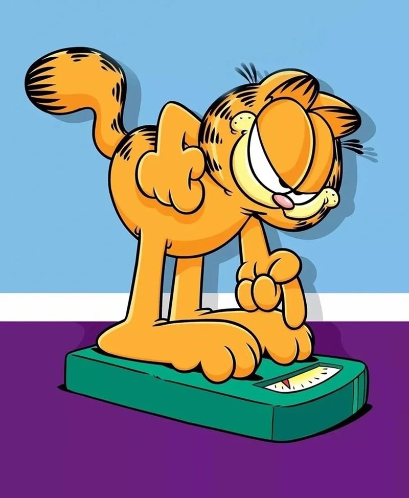 mèo garfield 2