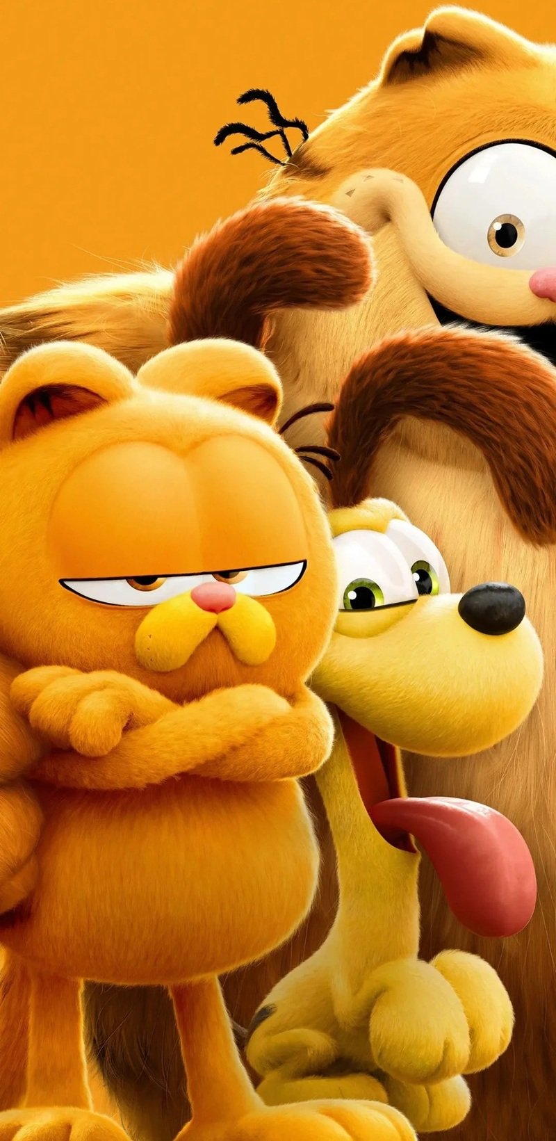 mèo garfield 20