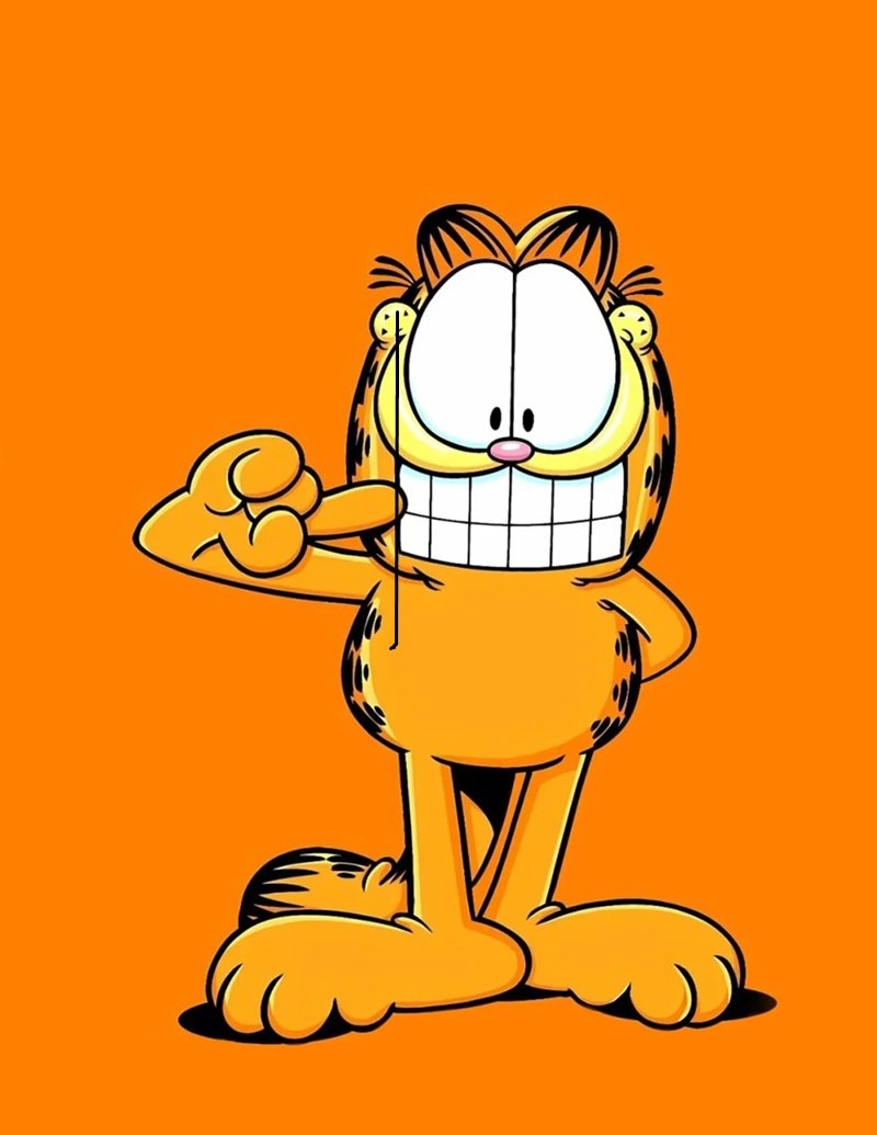 mèo garfield 21