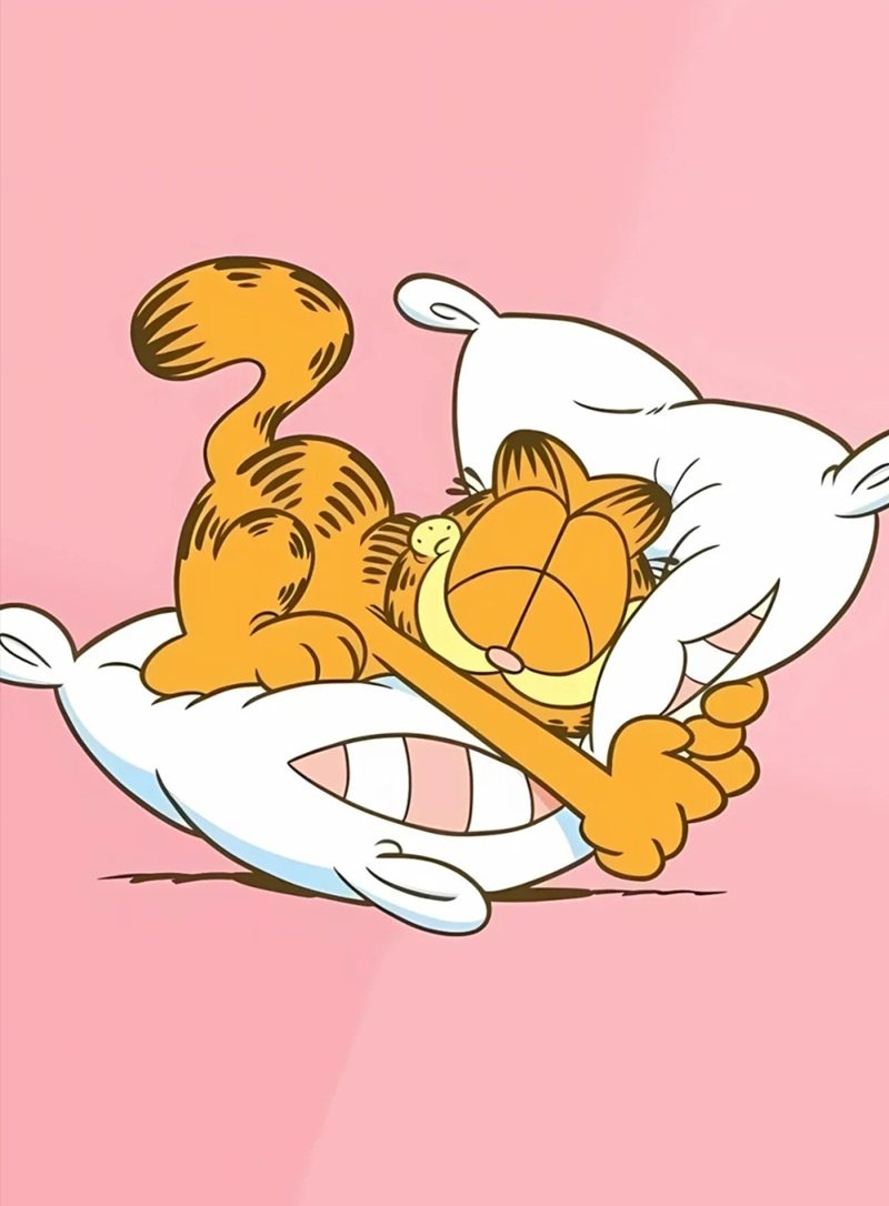 mèo garfield 22