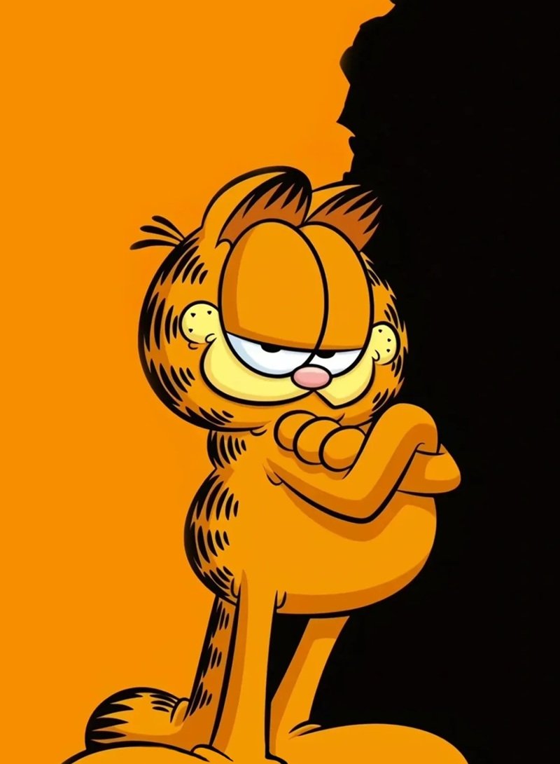 mèo garfield 25