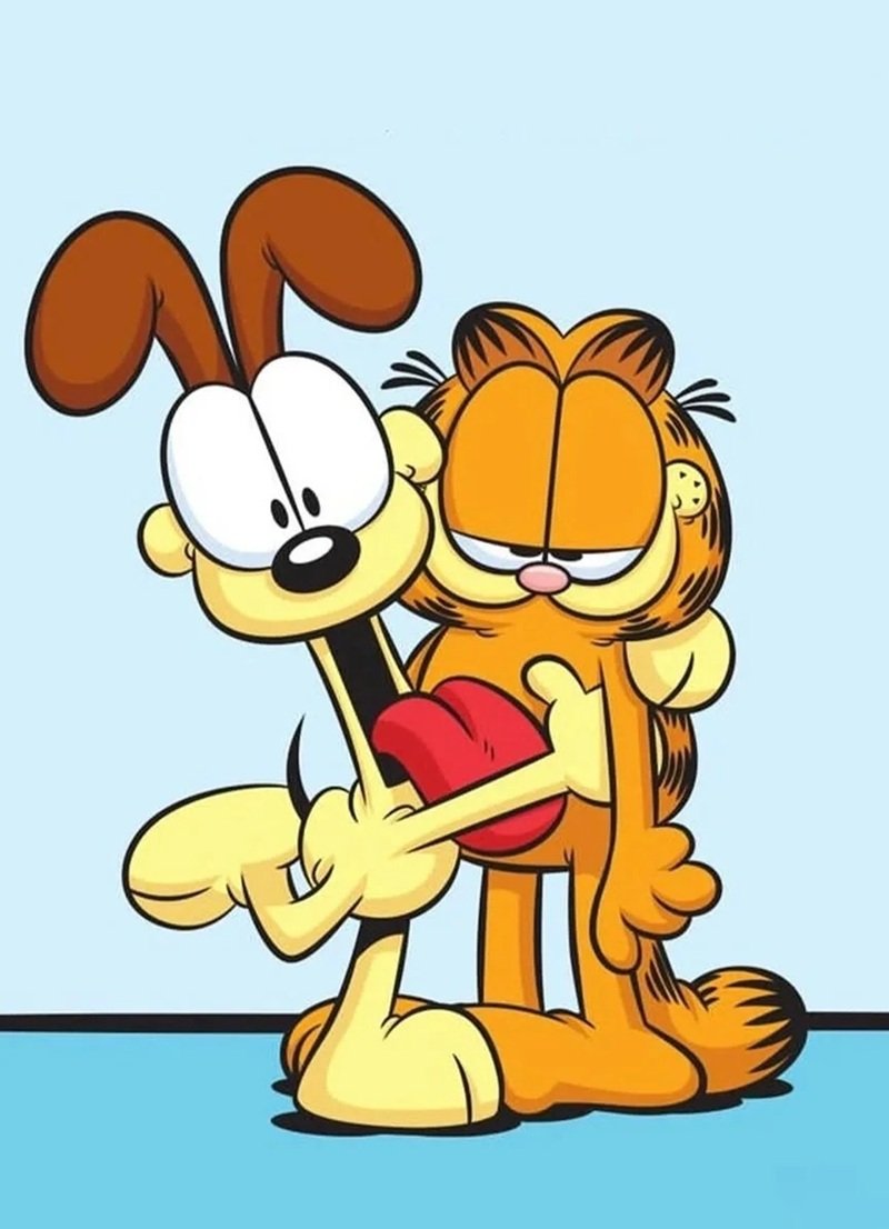 mèo garfield 6