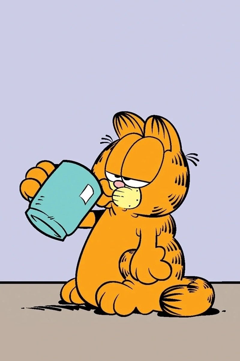 mèo garfield 9