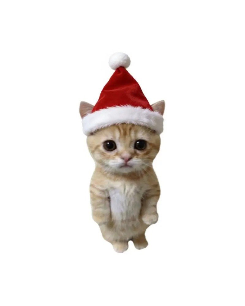 mèo noel 4