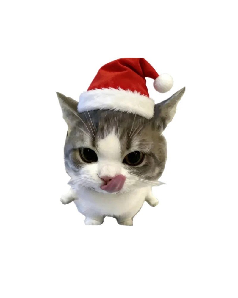 mèo noel 5