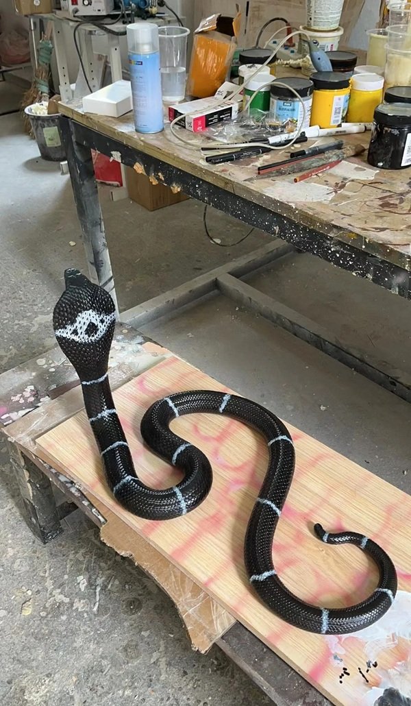 rắn đuôi chuông 21