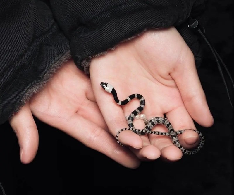 rắn khuyết lào 22