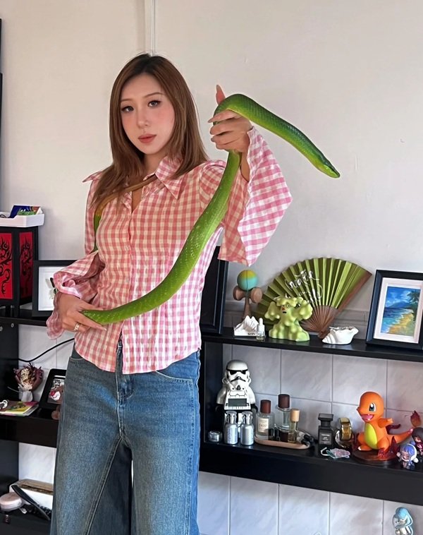 rắn lục đuôi đỏ 22