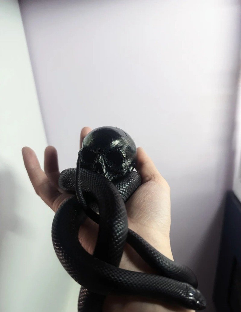 Rắn mamba đen nổi tiếng trong thế giới bò sát