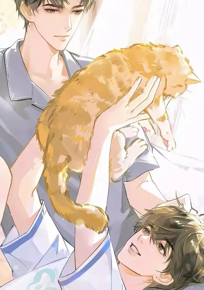 ảnh anime đam mỹ 2