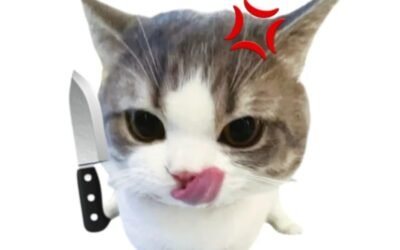 169+ Ảnh mèo chế hài hước, xem là bật cười