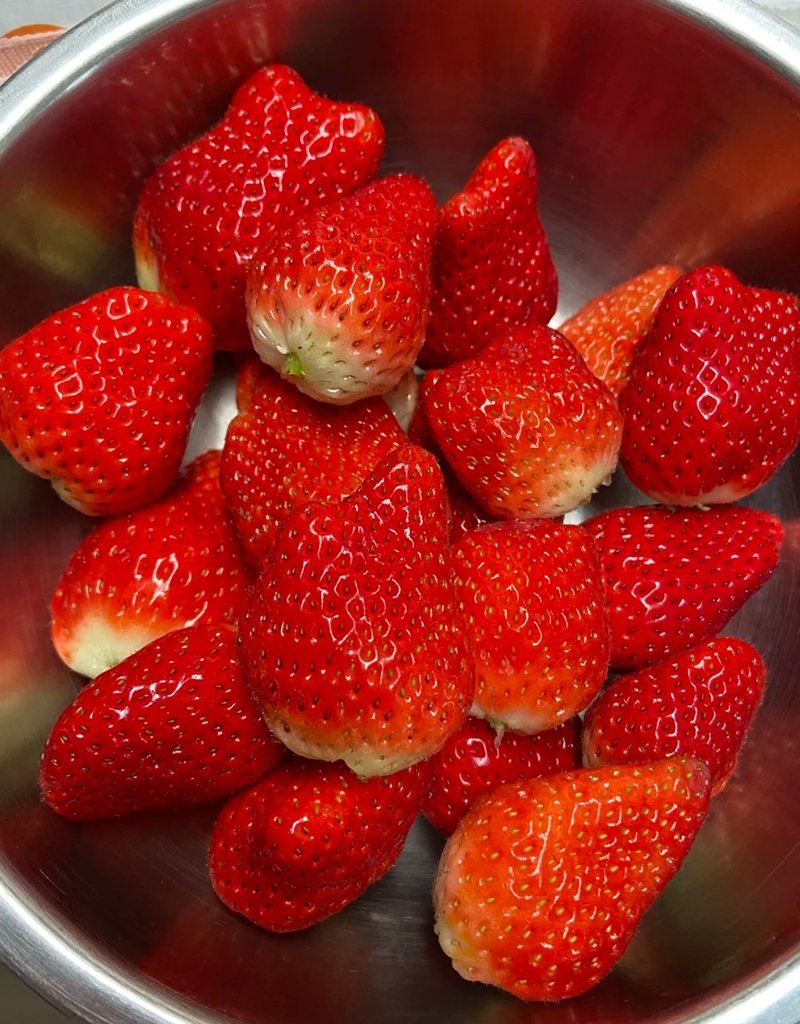 ảnh quả dâu tây 19