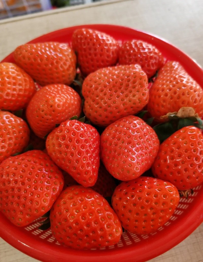 ảnh quả dâu tây 20