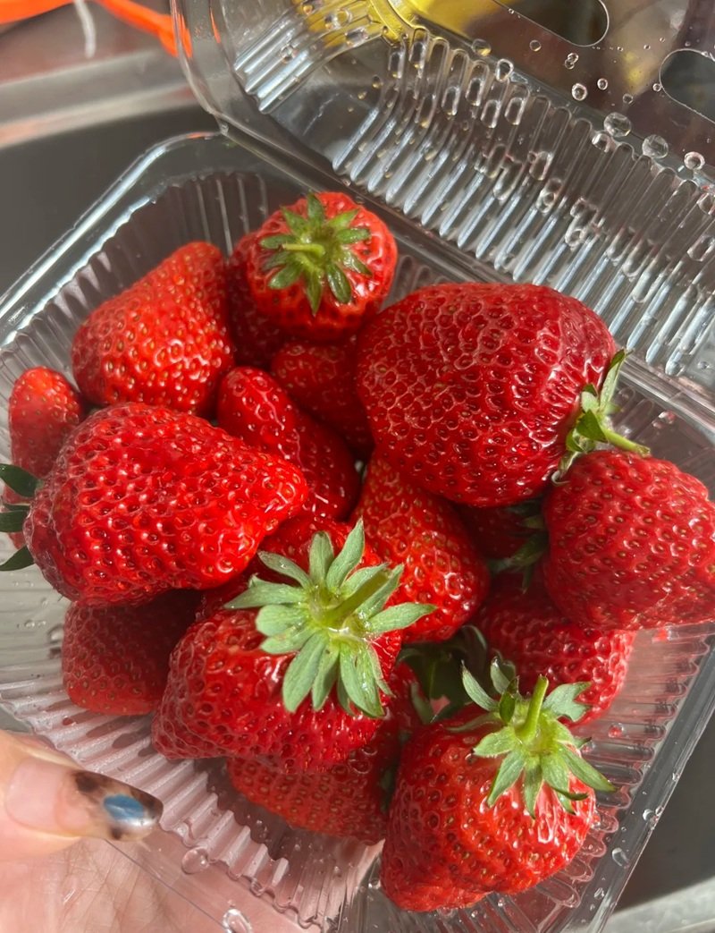 ảnh quả dâu tây 24