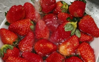 259+ Ảnh quả dâu tây tươi mọng, màu sắc nổi bật