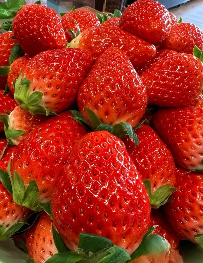 ảnh quả dâu tây 31