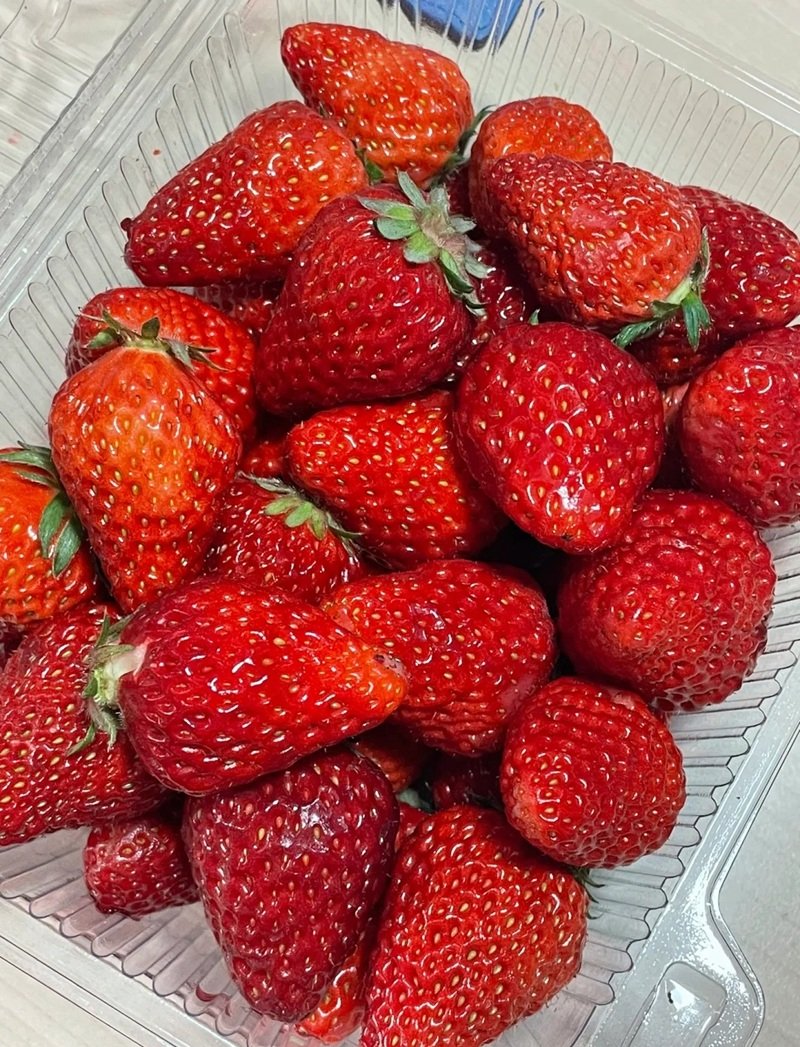 ảnh quả dâu tây 32