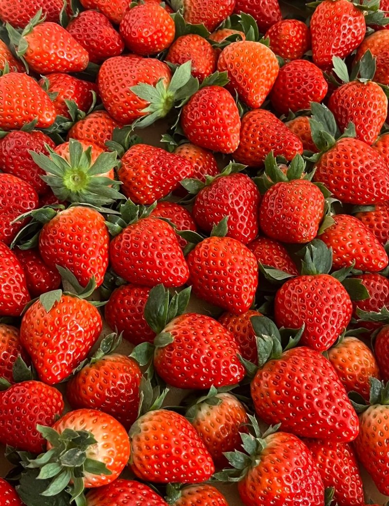 ảnh quả dâu tây 4