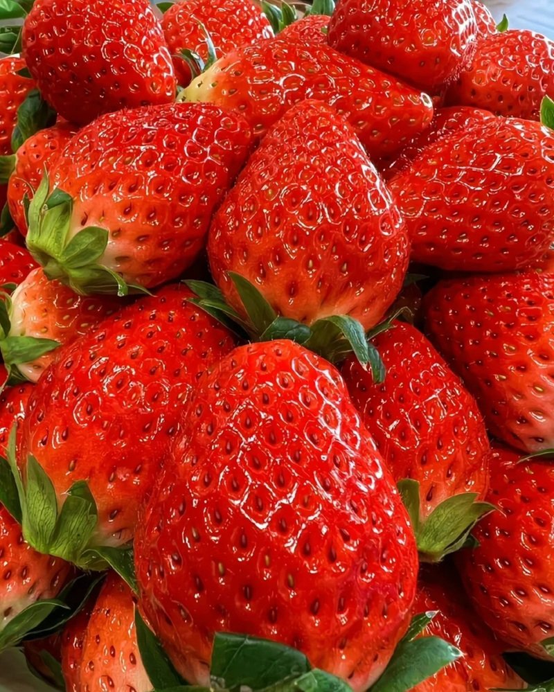 ảnh quả dâu tây 9