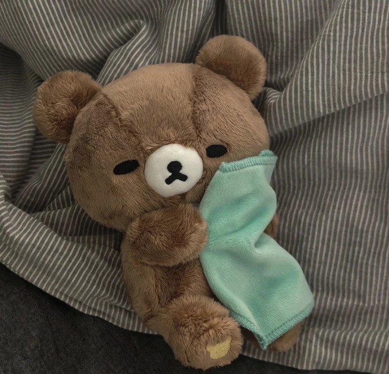 Chú gấu nhỏ cute phù hợp làm ảnh đại diện