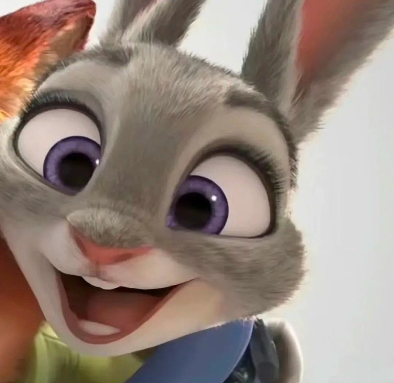 avatar thỏ và cáo đôi 10