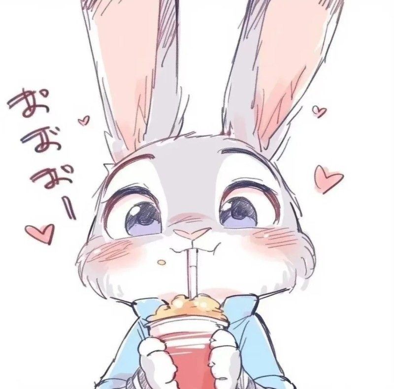 avatar thỏ và cáo đôi 23