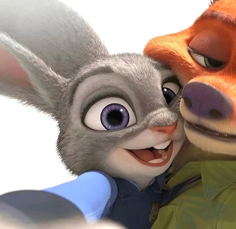 avatar thỏ và cáo đôi 5