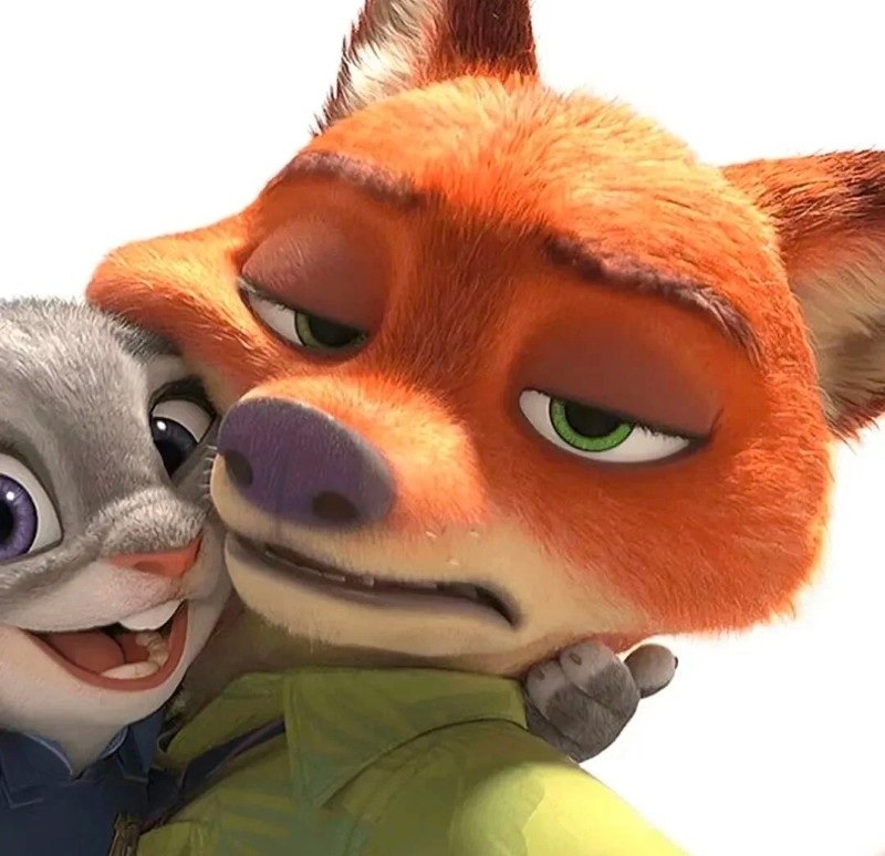 avatar thỏ và cáo đôi 6