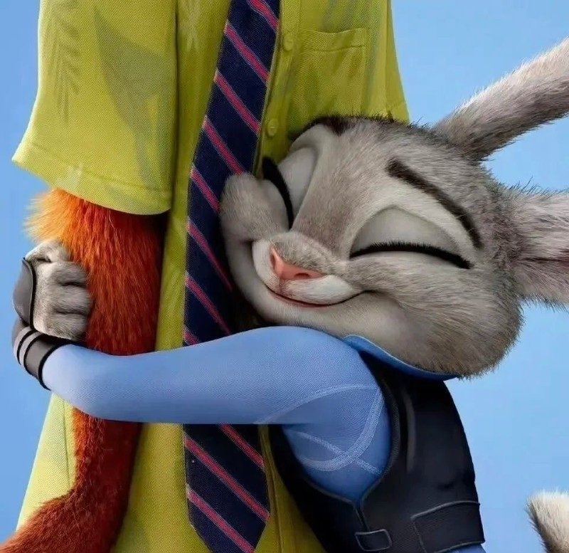 avatar thỏ và cáo đôi 8