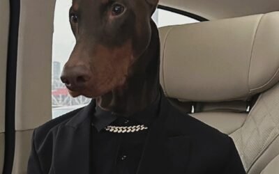 190+ Ảnh Chó Mặc Vest Ngầu Lòi Khiến Cộng Đồng Mạng Phát Sốt