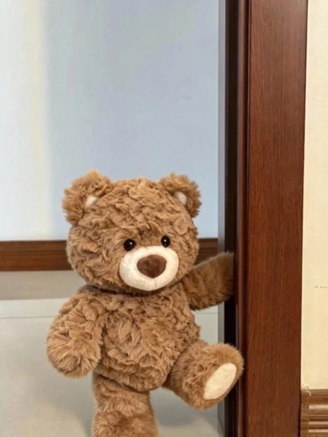 Gấu Bông Cute Đáng Yêu – Ảnh Đẹp Chất Lượng Cao