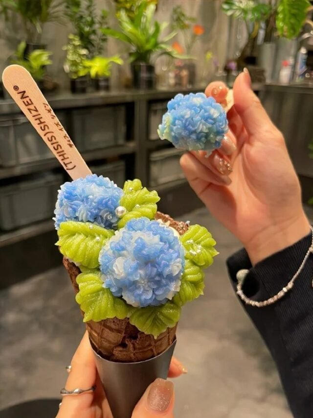 Hình ảnh cây kem mát lạnh, hấp dẫn từ cái nhìn đầu tiên