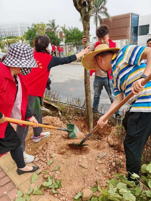 Hình Ảnh Trồng Cây Vì Môi Trường Xanh Và Tương Lai
