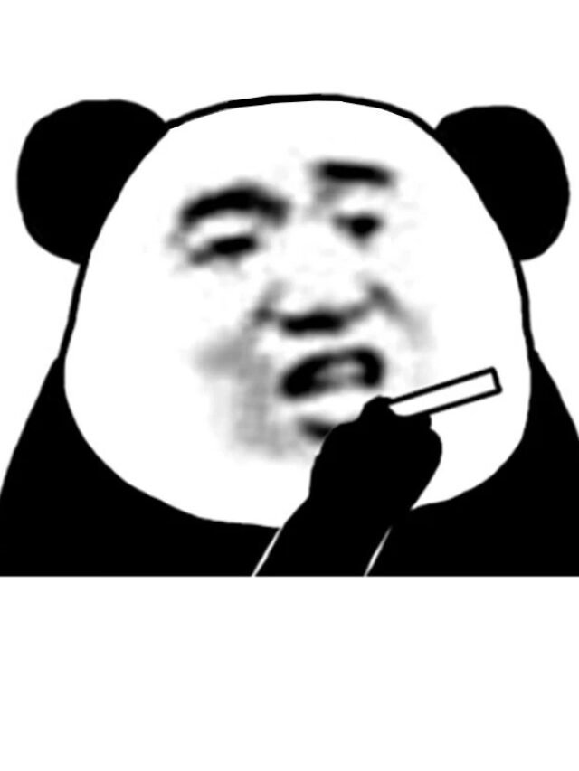 Ảnh meme gấu ngộ nghĩnh, xem là thấy vui liền