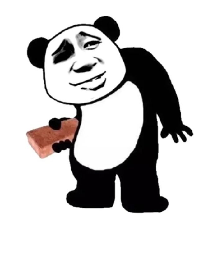 Meme gấu trúc vui nhộn, dùng là đúng mood