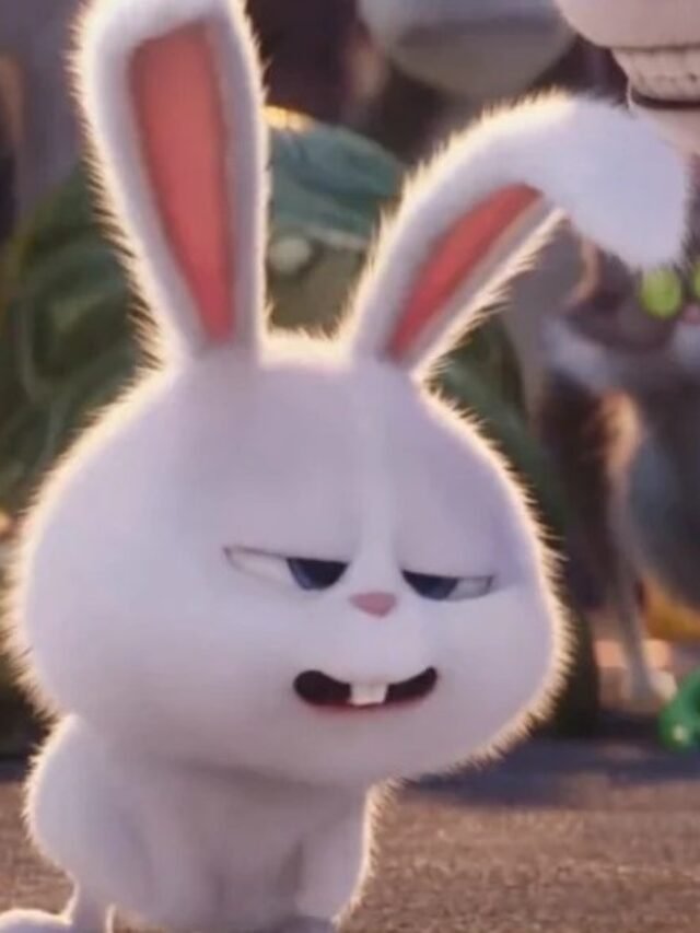 Tổng hợp thỏ snowball meme được chia sẻ nhiều