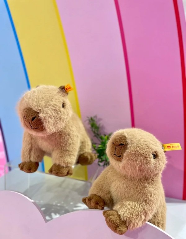 gấu bông capybara 10